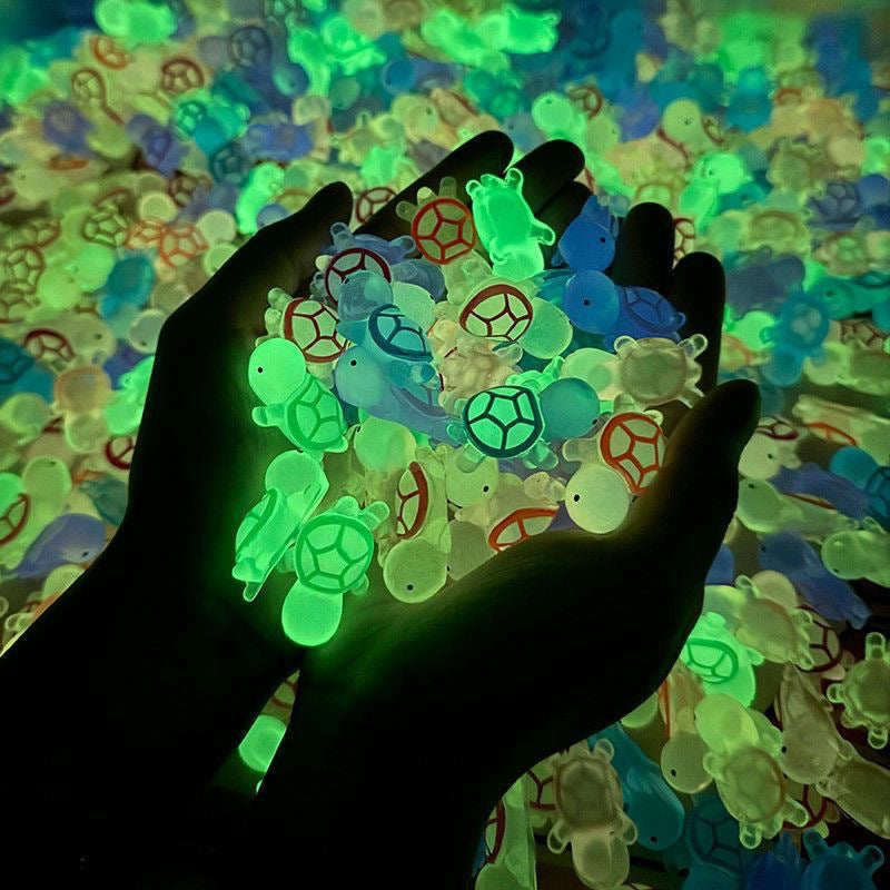 Small Luminous Turtle